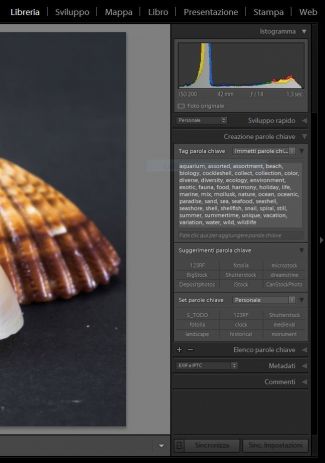 Lightroom – Creazione parole chiave