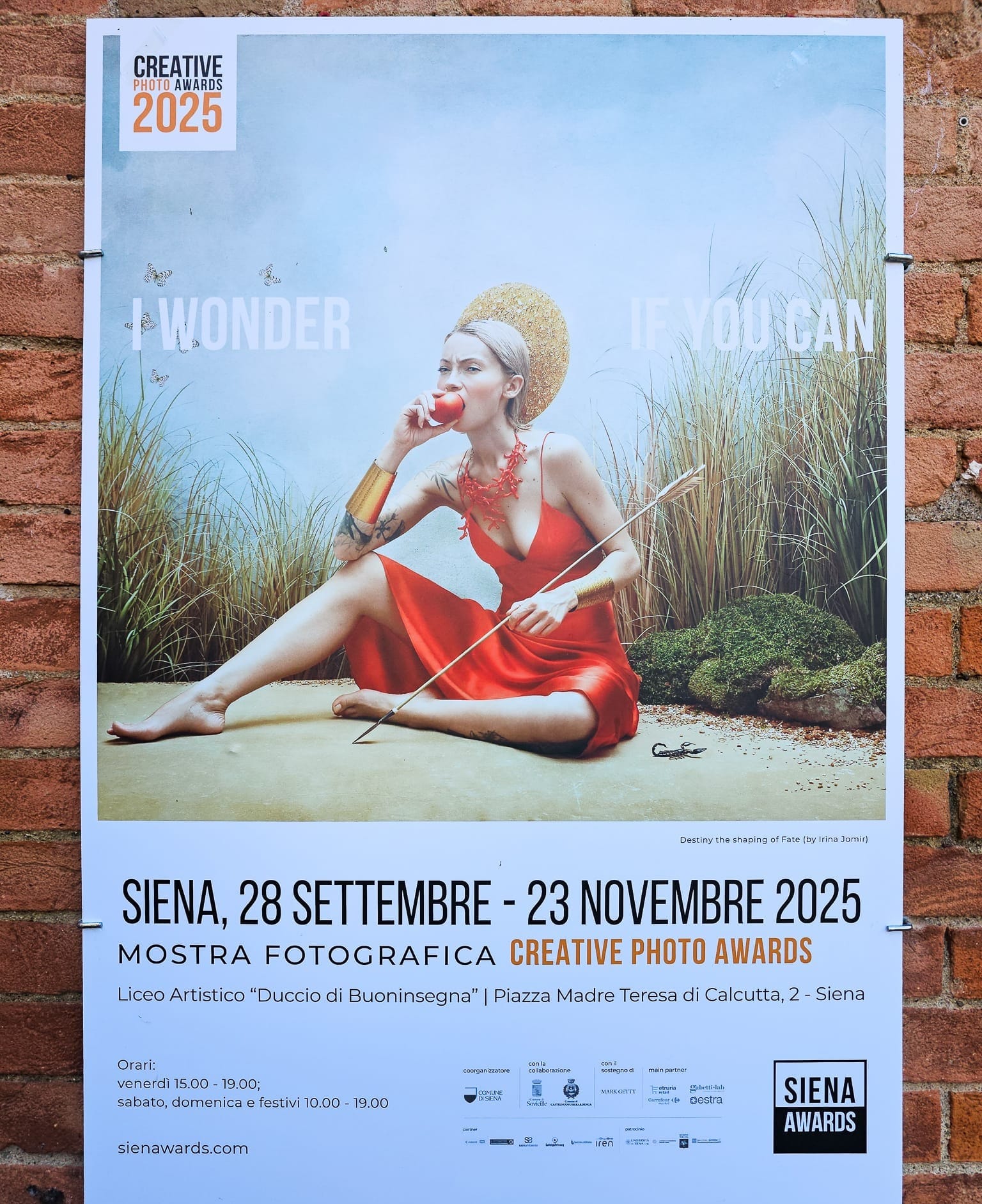 Locandina del Siena Awards Festival