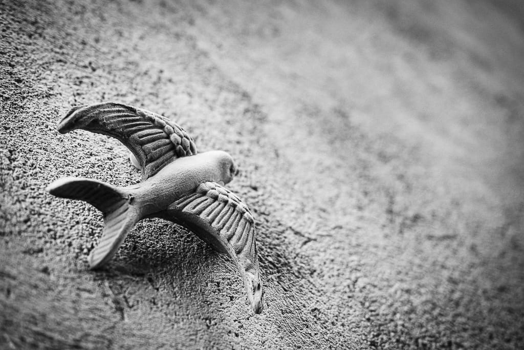 Foto dal titolo <Una rondine non fa primavera> scattata su una parete di una casa nel paese di Casoli, frazione del comune di Camaiore, famosa per gli Sgraffiti