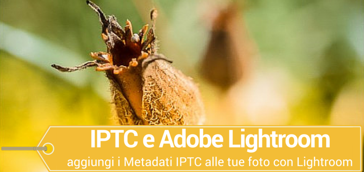 Aggiungere Metadati IPTC con Lightroom