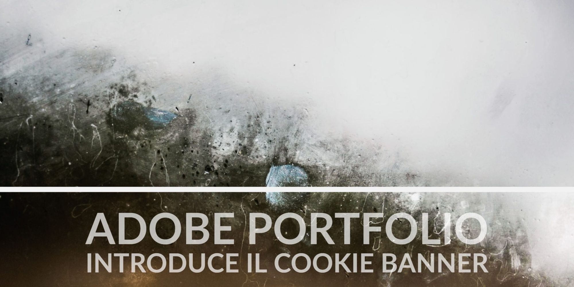 Adobe Portfolio e il banner per la cookie law