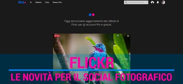 Flickr, come cambia il social fotografico