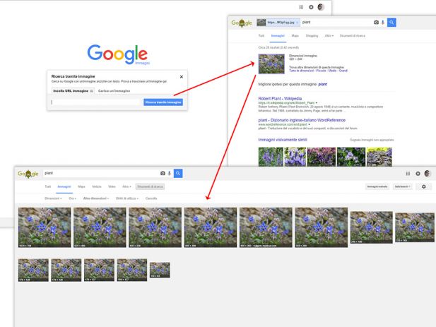 ricerca per immagini - google immagini risultati